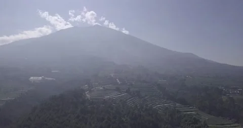 "Pine Forest and Mountain Majesty: A Drone  View of Java's Nature Video stock 237808696
