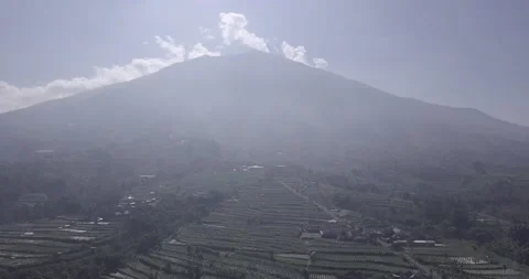 "Pine Forest and Mountain Majesty: A Drone  View of Java's Nature Video stock 237808833
