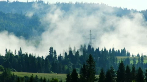 Pine forest and power lines in valley against misty mountains Video stock 327007996