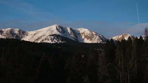 Pine forest and snow covered mountains 動画素材 91982227