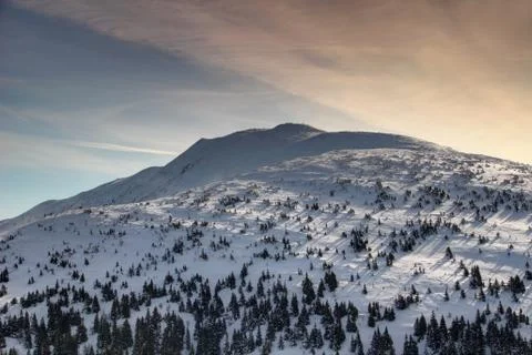 Pine forest and snowfields on slopes of Babia Gora peak Poland Stock Photos