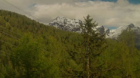 Pine Forest and Snowy Mountain Summit View in Italian Valtellina Alps Stock Footage 330921054