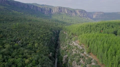 Pine forest and steep cliffs. Mountain landscape in Turkey canyon Tazy. Stock Footage 169034360