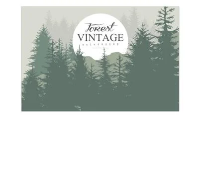 Pine forest background. Silhouettes of wild coniferous trees and white circle Stock Illustration
