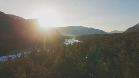Pine forest on the bank of the mountain river in spring, aerial Stock Footage 74086181