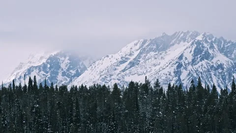 Pine Forest Below Snow Covered Grand Teton Range Stock Footage 313454160