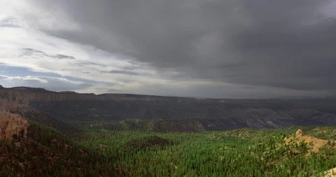 Pine forest at the bottom of the gorge on a cloudy day Video stock 118643645