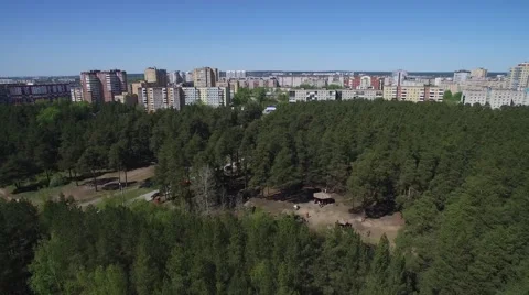 Pine forest in the city with a bird's eye. Vidéo 63379154