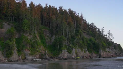 Pine Forest Cliffs over Beach at Sunset, Pacific Northwest Stock Footage 341367099
