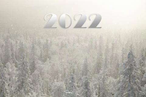 The pine forest is covered with fluffy snow. Meet 2022 Stock Photos