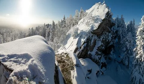 The pine forest is covered with fluffy snow. Meet 2022 Stock Photos