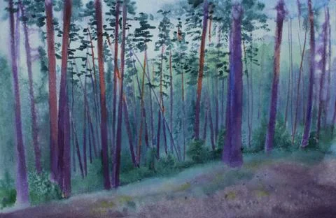 Pine forest at dusk Stock Illustration