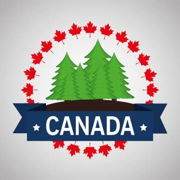 Pine forest field canadian frame Stock Illustration