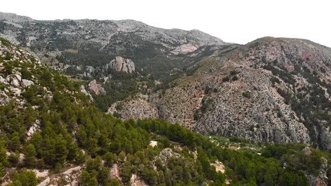 A pine forest in Guadalest Valley, in Alicante mountains, Spain Stock Footage 123728951