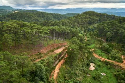 Pine forest - high angle view - from the Dalat Cable Car to the Truc Lam pagoda Stock Photos