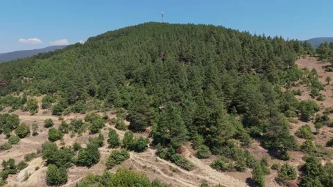 Pine forest hill peak with communication tower in Western Rhodopes, Bulgaria Stock Footage 343620171