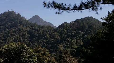 Pine Forest Hills in Vietnam Stock Footage 35559095