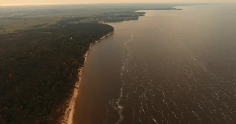 Pine forest. Kiev sea. view from above Stock Footage 97289309