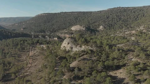 Pine Forest with Large Boulder Drone Flight Stock Footage 103378458