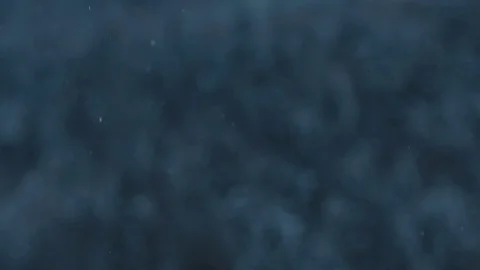 A pine forest in the middle winter. Winter pine tree background Video stock 72387678