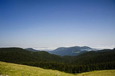 Pine forest mountain ridges above a sea of clouds under clear blue sky Stock Photos