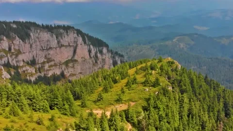 Pine Forest Overlooking Mountain Cliffs Video stock 322829187