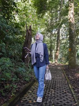 Pine forest park area Stock Photos
