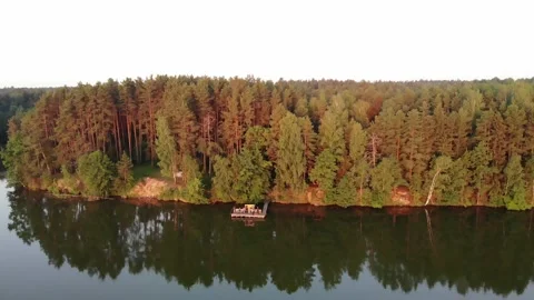 Pine forest in the rays of the setting sun with houses surrounded by trees on 库存影片 151655104