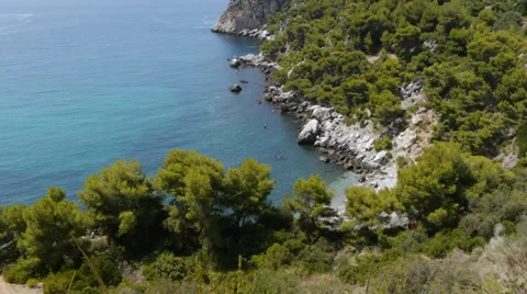 Pine forest reaching the sea Stock Footage 35882867