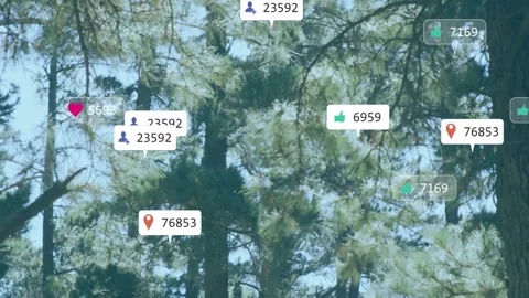 Pine forest receiving floating social badges on data stream visualizing Stock Footage 333061103