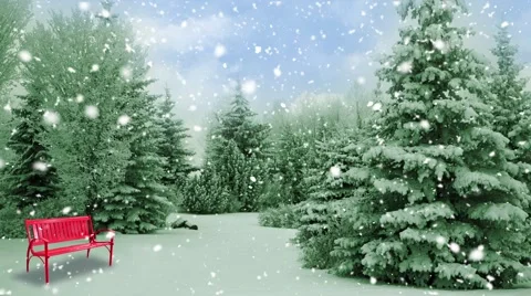 Pine Forest with Red Bench on a  Winter Day Stock Footage 57097329