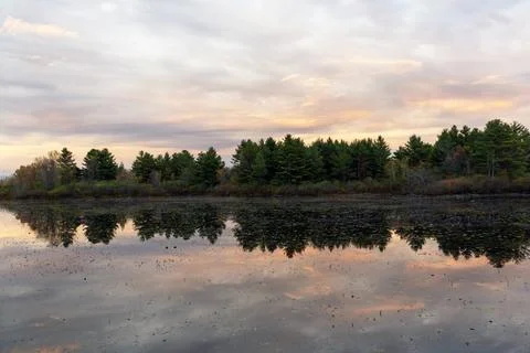 Pine forest reflecting on calm lake surface during sunset Stock Photos