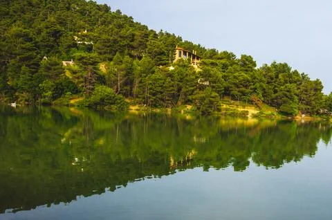 Pine forest reflection in Beletsi Lake, Attica, Greece with hillside houses. Stock Photos