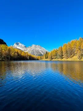 Pine forest reflection at secret lake Photos