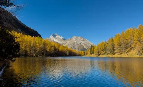 Pine forest reflection at secret lake Photos