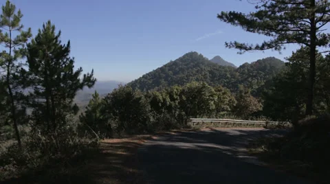 Pine Forest Road in Vietnam Stock Footage 35559030