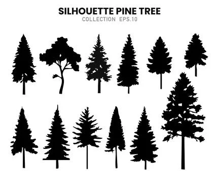 Pine Forest Silhouette Set.Vector illustration. 스톡 일러스트