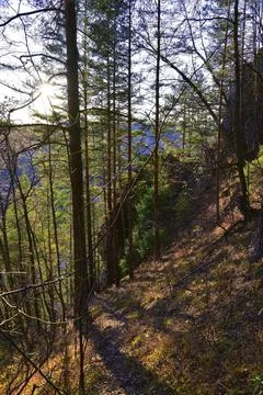 Pine forest on the steep slopes of a narrow mountain valley of the Sylva Rive Stock Photos