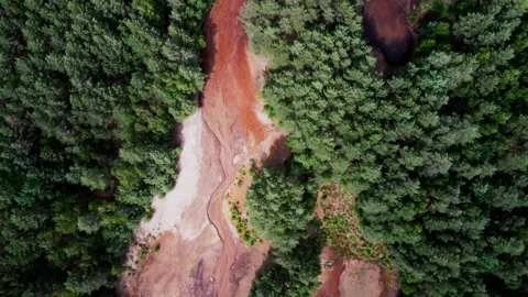 Pine forest in summer with colorful lakes. summer wild scenery. Drone footage Stock Footage 233333366