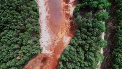 Pine forest in summer with colorful lakes. summer wild scenery. Drone footage Stock Footage 233333452