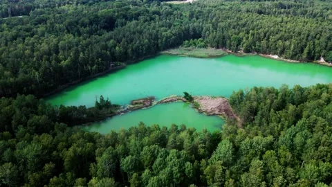 Pine forest in summer with colorful lakes. summer wild scenery. Drone footage Stock Footage 233333950