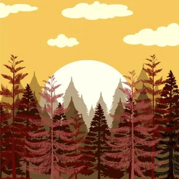 Pine forest at sunset Illustrazione stock
