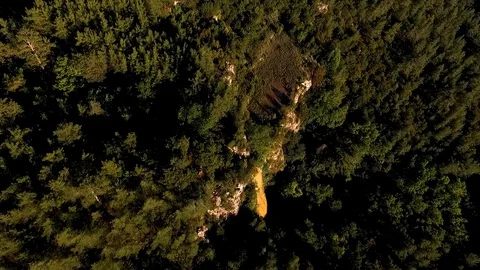 Pine Forest at Sunset From Top  Aerial View Stock Footage 130106197