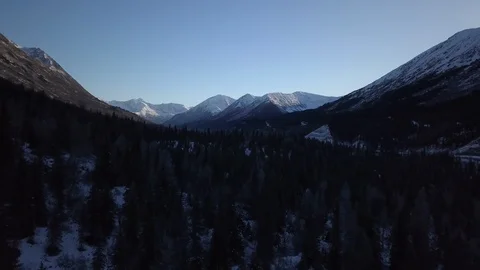 Pine forest surrounded with snow clad forest Stock Footage 104531914