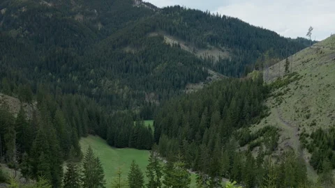 Pine forest surrounding green meadow in Tatra mountain valley landscape Stock-Footage 335128409