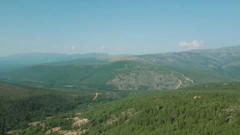 Pine forest in the taiga. River. Summer. Yakutia. Russia. Video stock 253985426