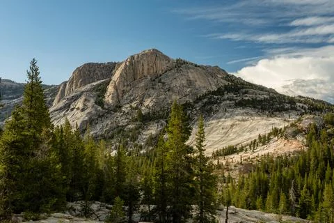 Pine Forest Thins As Large Granite Mountian Rises From The Valley Floor 库存照片