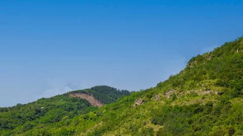 Pine forest under the azure sky in the Black Sea mountains. Empty text space. Stock Photos