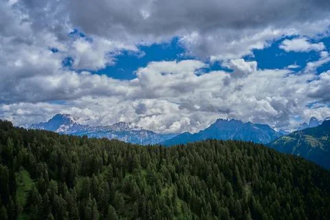 Pine forest under deep blue sky in mountain Carpathians Stock Photos