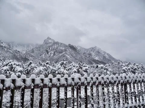 Pine forest under the snow and big mountains on the background. Seoraksan Nat Stock Photos